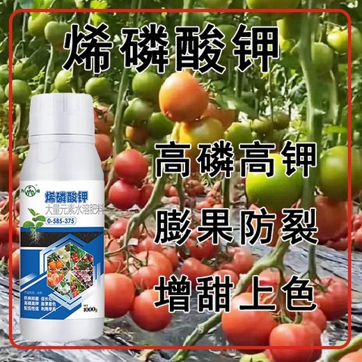 殺菌抗病為峰肥業(yè)烯磷酸鉀生產(chǎn)廠家,為峰肥業(yè)廠家電話