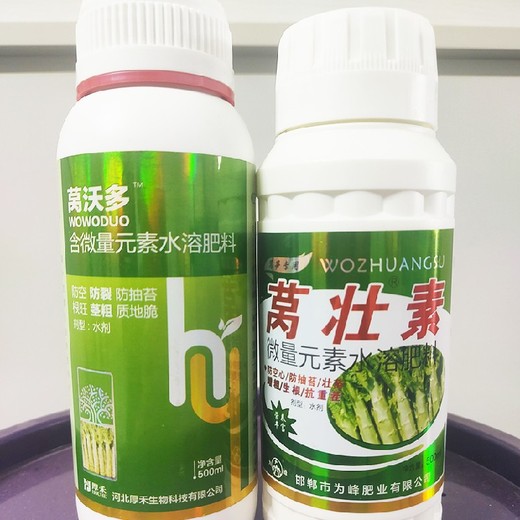 萵苣萵筍黑亮葉面肥批發(fā),為峰肥業(yè)萵壯素