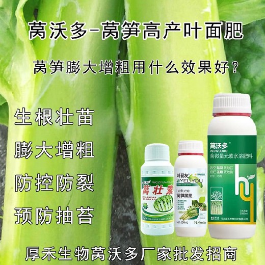萵筍防抽苔萵筍黑亮葉面肥哪里賣,為峰肥業(yè)萵壯素