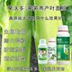 萵筍防空心萵筍粗直長(cháng)葉面肥定做,萵筍葉面肥廠(chǎng)家產(chǎn)品圖