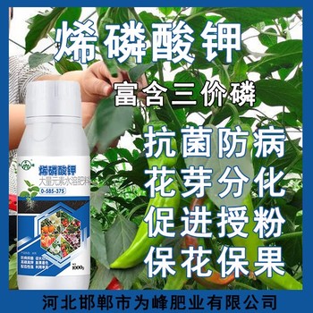 高磷高鉀為峰肥業(yè)烯磷酸鉀生產(chǎn)廠家,為峰肥業(yè)業(yè)務(wù)經(jīng)理
