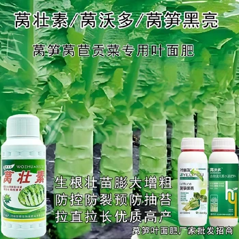 膨大增粗萵筍增產(chǎn)葉面肥多少錢,為峰肥業(yè)萵壯素