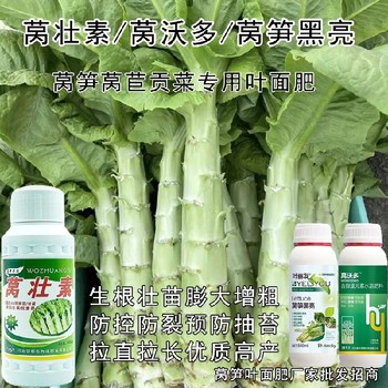 貢菜萵筍粗直長(zhǎng)葉面肥哪個(gè)廠家好,萵筍葉面肥廠家
