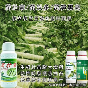 萵筍防裂萵筍增產葉面肥多少錢,為峰肥業萵壯素