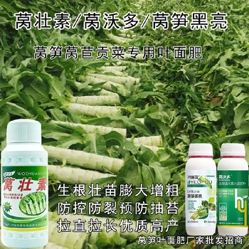萵苣萵筍增產(chǎn)葉面肥用法用量,為峰肥業(yè)萵壯素