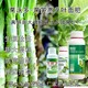 貢菜萵壯素葉面肥作用圖