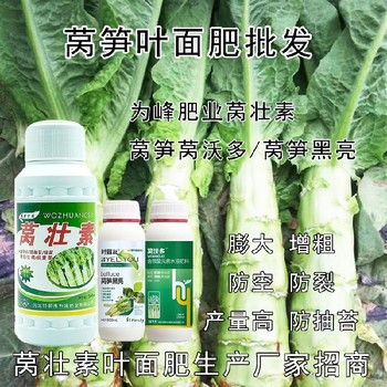 萵筍防抽苔萵筍三控葉面肥廠家電話,萵筍葉面肥廠家