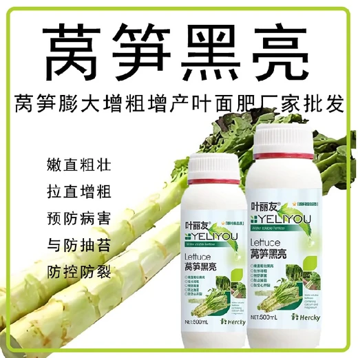 萵筍防空心萵筍粗直長葉面肥定做,萵筍葉面肥廠家