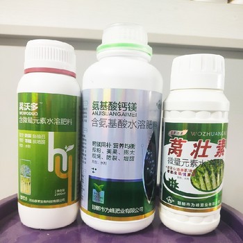 萵筍防抽苔萵筍增產葉面肥什么牌子好,萵筍葉面肥廠家