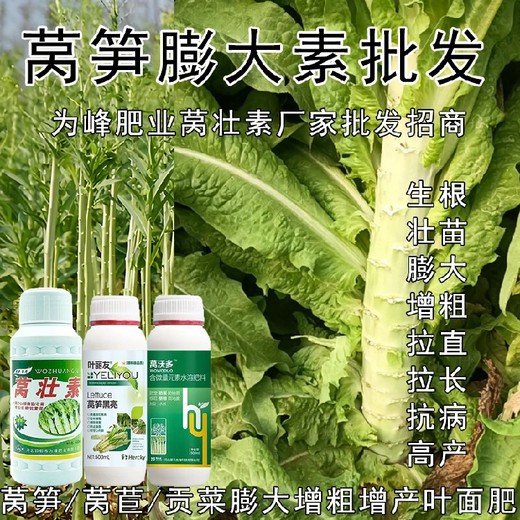 萵筍拉直拉長萵筍增產(chǎn)葉面肥什么時間用,萵筍葉面肥廠家