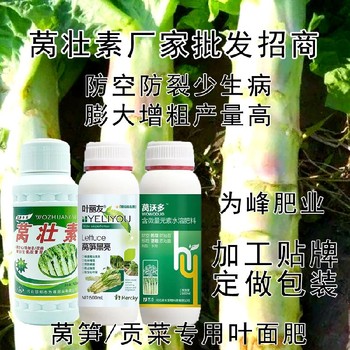 膨大增粗萵壯素葉面肥貼牌加工,萵筍葉面肥廠家