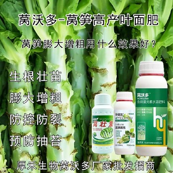 為峰肥業萵筍黑亮葉面肥招商,萵筍葉面肥廠家