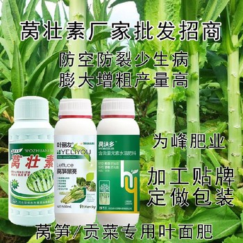 為峰肥業(yè)萵筍黑亮葉面肥作用,萵筍葉面肥廠家