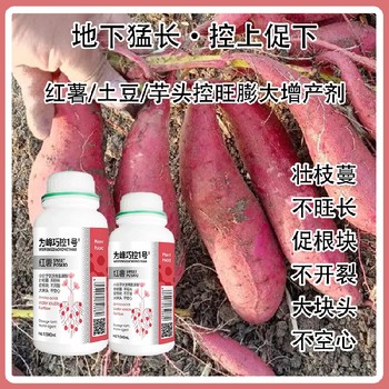 馬鈴薯控秧不控果巧控一號(hào)效果,為峰肥業(yè)廠家批發(fā)