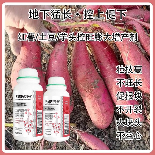 土豆控秧不控果巧控一號(hào)作用,為峰肥業(yè)廠家批發(fā)