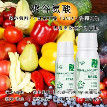 保水保肥γ-PGA特肥廠家電話,為峰肥業(yè)廠家電話