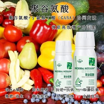 膨大增產(chǎn)γ-PGA特肥廠家排名,為峰肥業(yè)廠家電話