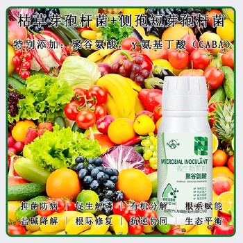 快速吸收γ氨基丁酸特肥,為峰肥業廠家電話