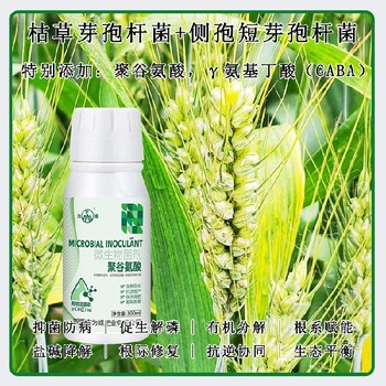 調節劑GABA特肥批發(fā),為峰肥業(yè)廠(chǎng)家電話(huà)