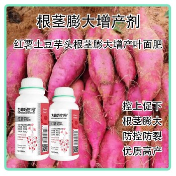 山藥紅薯控旺膨大巧控一號效果,為峰肥業廠家批發