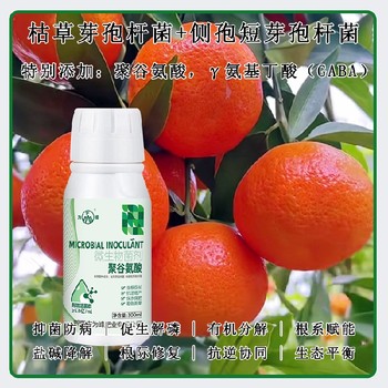 保水保肥GABA特肥作用,生產(chǎn)廠(chǎng)家招商