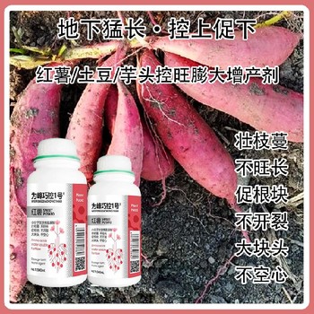 馬鈴薯根莖膨大巧控一號生產(chǎn)廠家,為峰肥業(yè)廠家批發(fā)