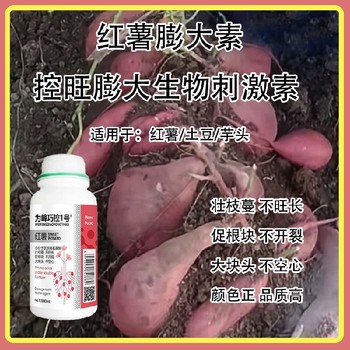膨大增產控秧不控果巧控一號水溶肥,為峰肥業廠家批發