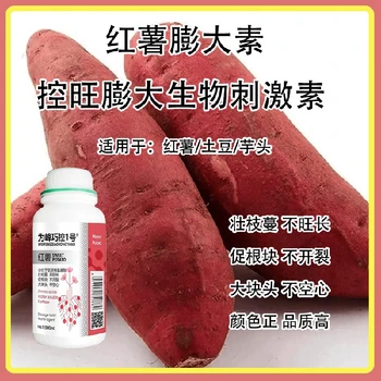 芋頭控上促下巧控一號,為峰肥業(yè)廠家批發(fā)