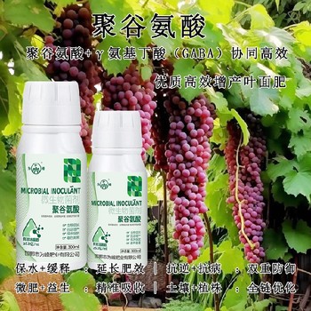 增效劑聚谷氨酸特肥效果,為峰肥業(yè)廠家電話