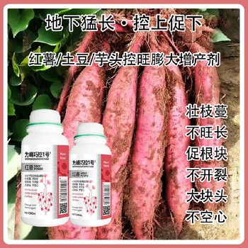 膨大增產(chǎn)紅薯膨大素巧控一號(hào)生產(chǎn)廠家,為峰肥業(yè)廠家批發(fā)