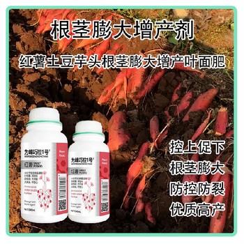 山藥紅薯控旺膨大巧控一號效果,為峰肥業廠家批發