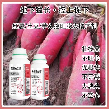 防裂紅薯膨大素巧控一號(hào)什么牌子好,為峰肥業(yè)廠(chǎng)家批發(fā)
