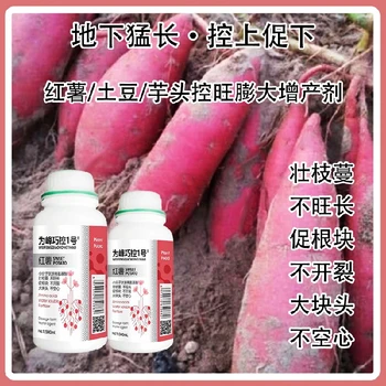 土豆根莖膨大巧控一號(hào)價(jià)格,為峰肥業(yè)廠家批發(fā)