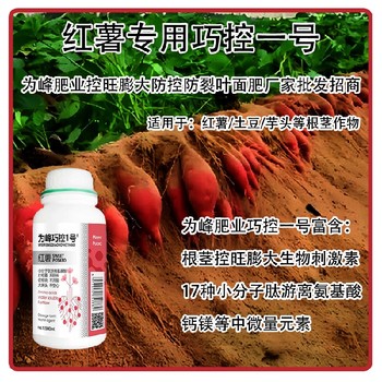 膨大防空心紅薯控旺膨大巧控一號(hào)使用方法,為峰肥業(yè)廠家批發(fā)