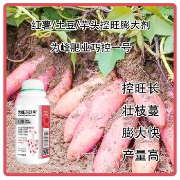 洋芋紅薯膨大素巧控一號怎么使用,為峰肥業廠家批發