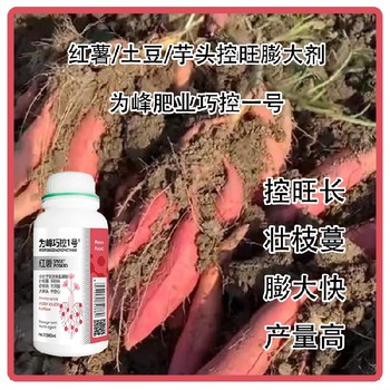 芋頭紅薯控旺劑巧控一號(hào),為峰肥業(yè)廠(chǎng)家批發(fā)