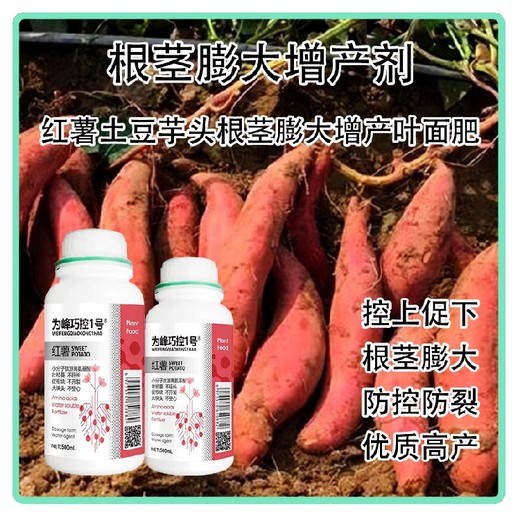 根莖塊紅薯控旺劑巧控一號功效,為峰肥業(yè)廠(chǎng)家批發(fā)