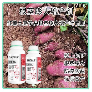 山藥紅薯控旺膨大巧控一號效果,為峰肥業廠家批發