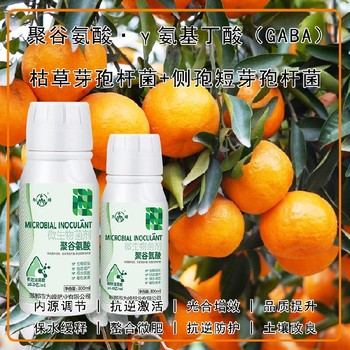 快速吸收γ氨基丁酸特肥貼牌加工,生產(chǎn)廠家招商