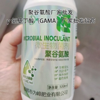 調節劑GABA特肥批發(fā),為峰肥業(yè)廠(chǎng)家電話(huà)