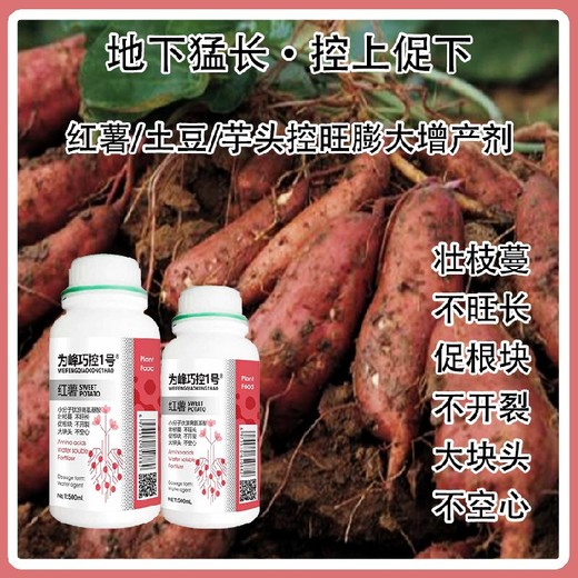 膨大增產(chǎn)根莖膨大巧控一號哪個(gè)廠(chǎng)家好,為峰肥業(yè)廠(chǎng)家批發(fā)