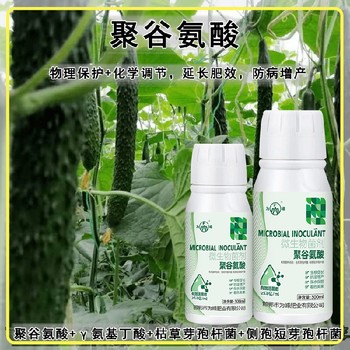 生物活性γ-PGA特肥定做包裝,為峰肥業(yè)廠家電話