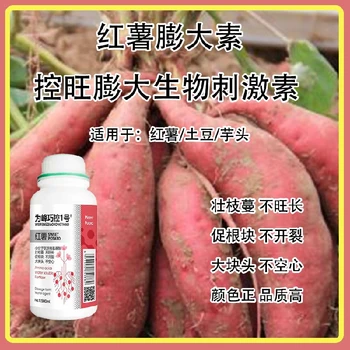 芋頭控上促下巧控一號,為峰肥業(yè)廠家批發(fā)