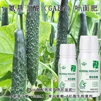 快速吸收γ氨基丁酸特肥定做,生產(chǎn)廠家招商