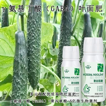 膨大增產(chǎn)γ-PGA特肥廠家排名,為峰肥業(yè)廠家電話