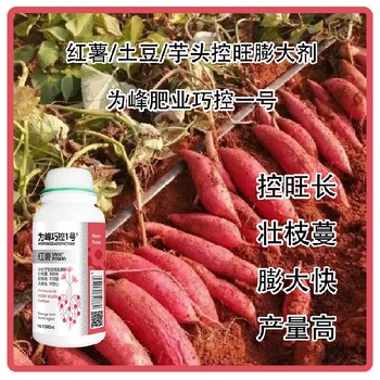 山藥紅薯控旺劑巧控一號功效,為峰肥業(yè)廠家批發(fā)