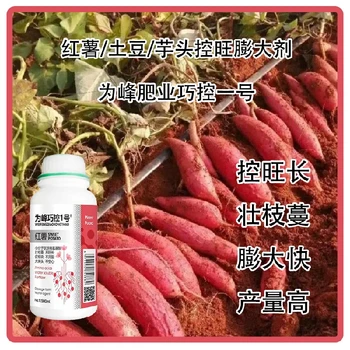 膨大增產紅薯葉面肥巧控一號怎么使用,為峰肥業(yè)廠家批發(fā)