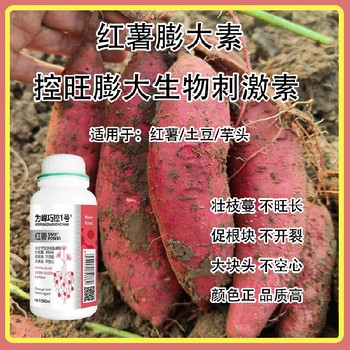 膨大防空心紅薯控旺膨大巧控一號貼牌加工,為峰肥業(yè)廠家批發(fā)