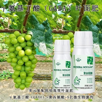 新型GABA特肥作用,為峰肥業(yè)廠家電話