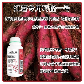 洋芋控上促下巧控一號(hào)哪里賣,為峰肥業(yè)廠家批發(fā)